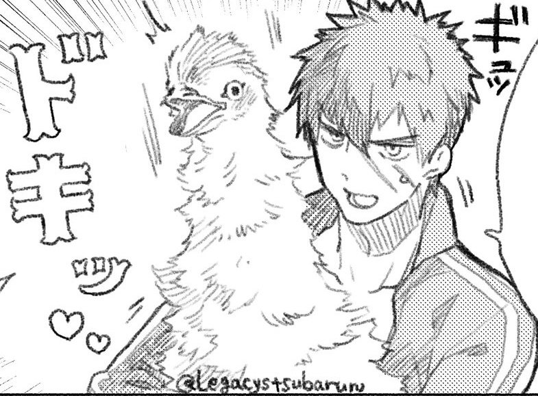 えっ画像にコメントつけられるの? 