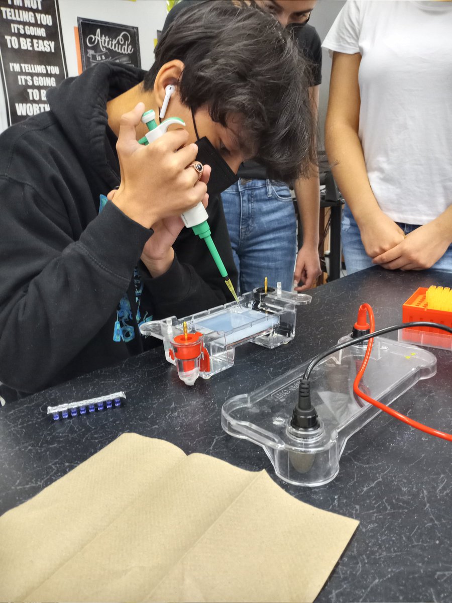 ErhsPltw's tweet photo. PLTW Biomedical 9th graders genetically testing patients for familial hypercholesterolemia gene via gel electrophoresis! @ElRanchoHS https://t.co/5hYNHfCryv