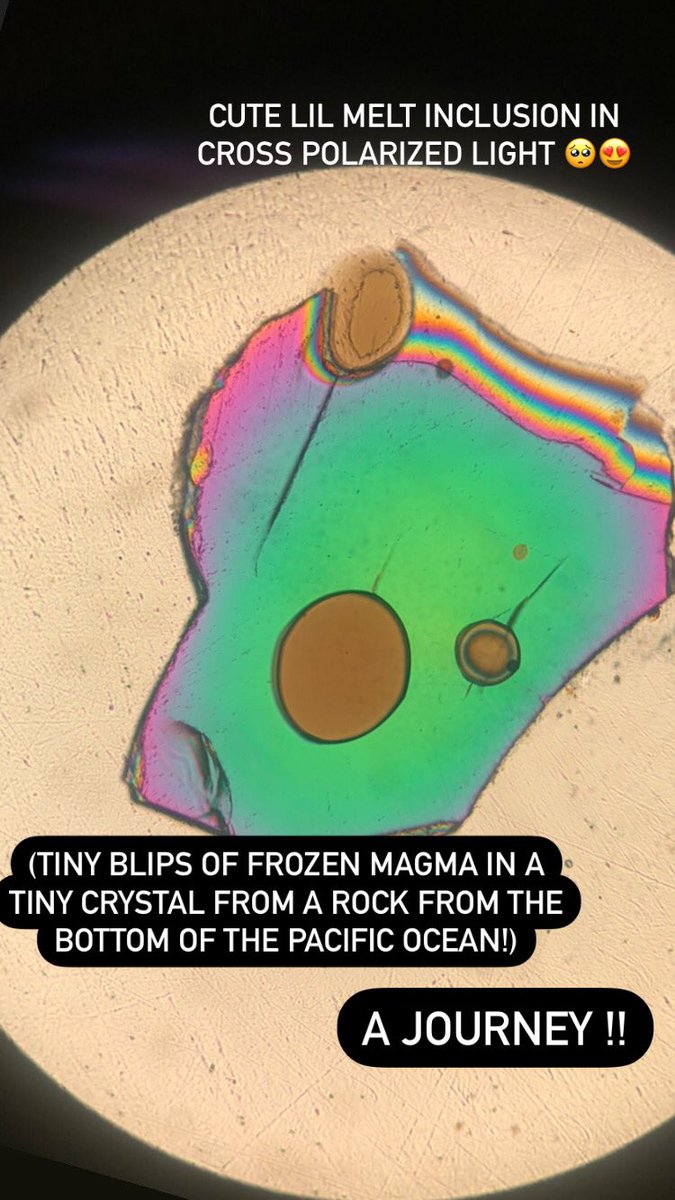 Emma McCully tweet media