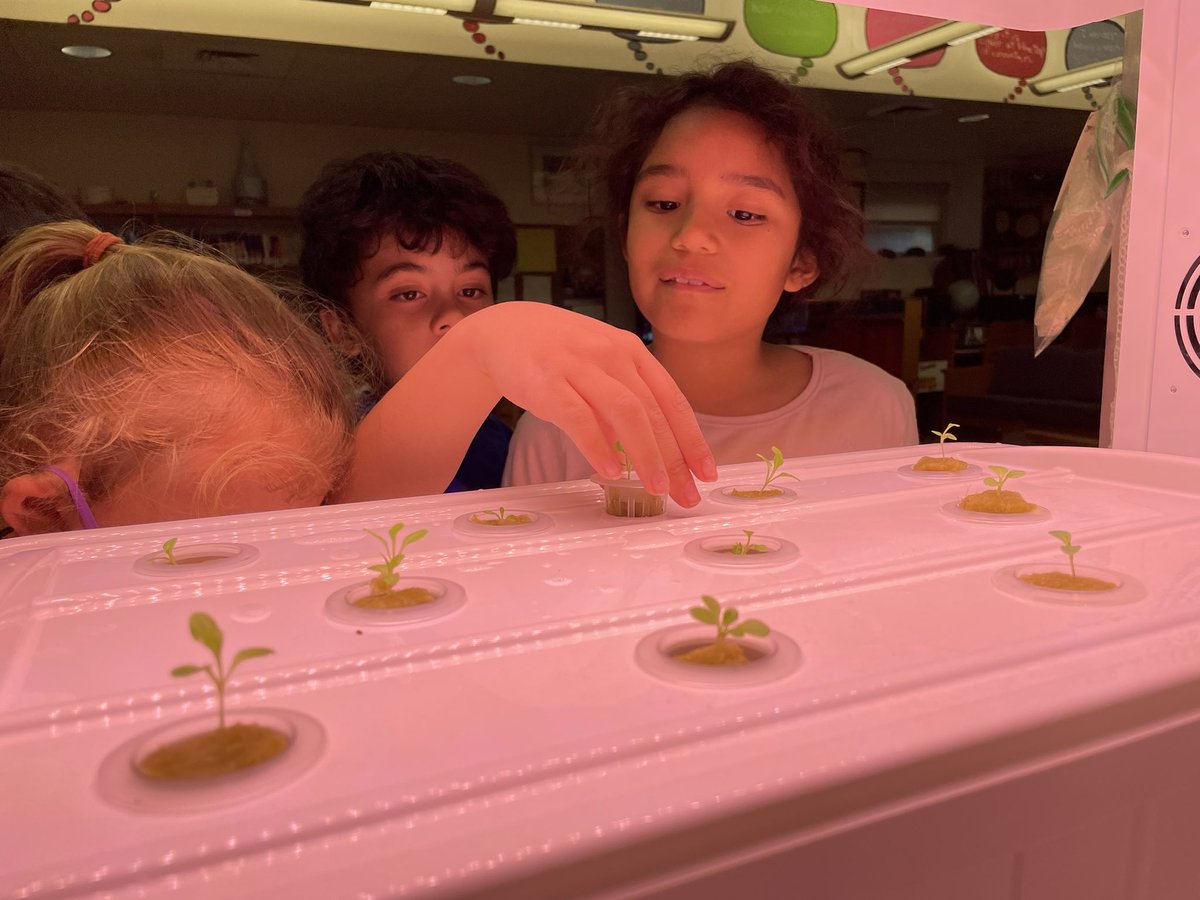 Mr.Burke tweet media