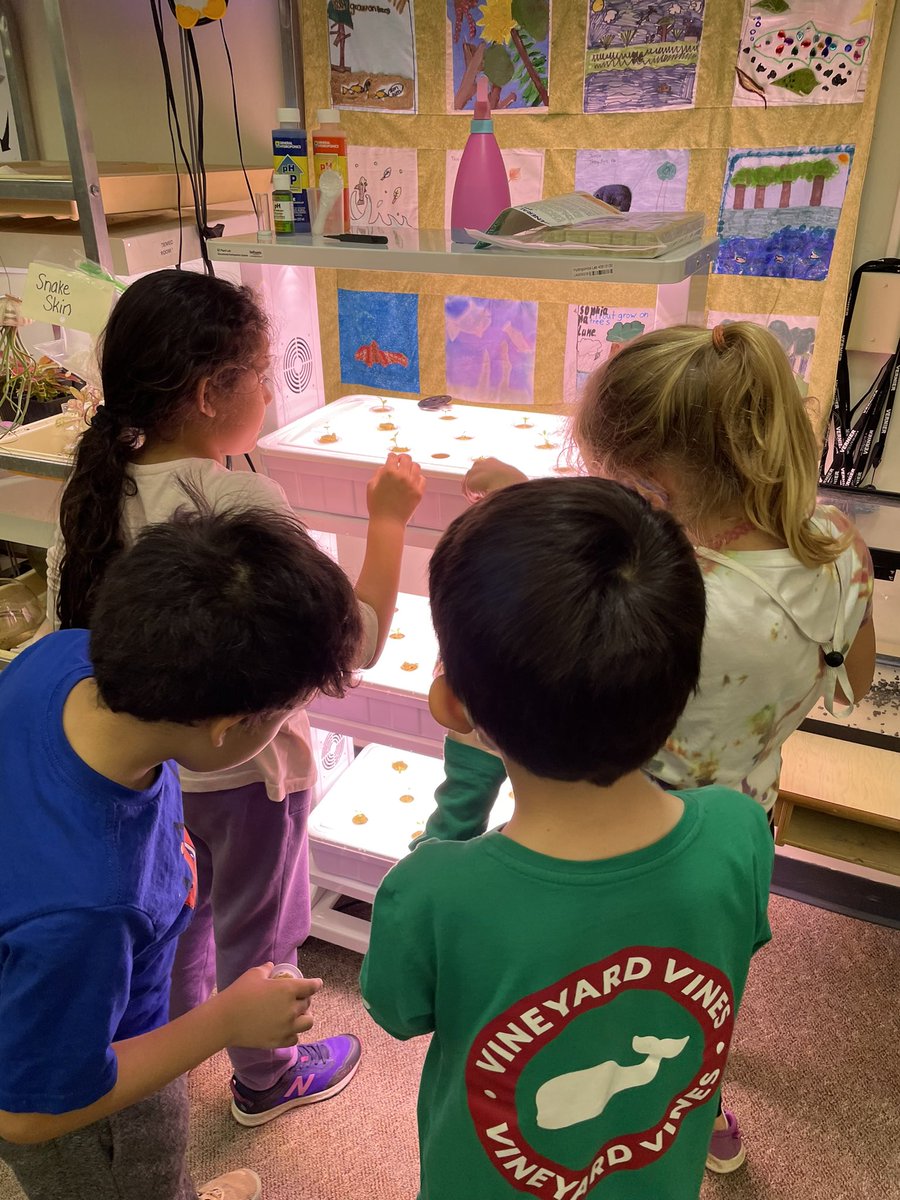 Mr.Burke tweet media