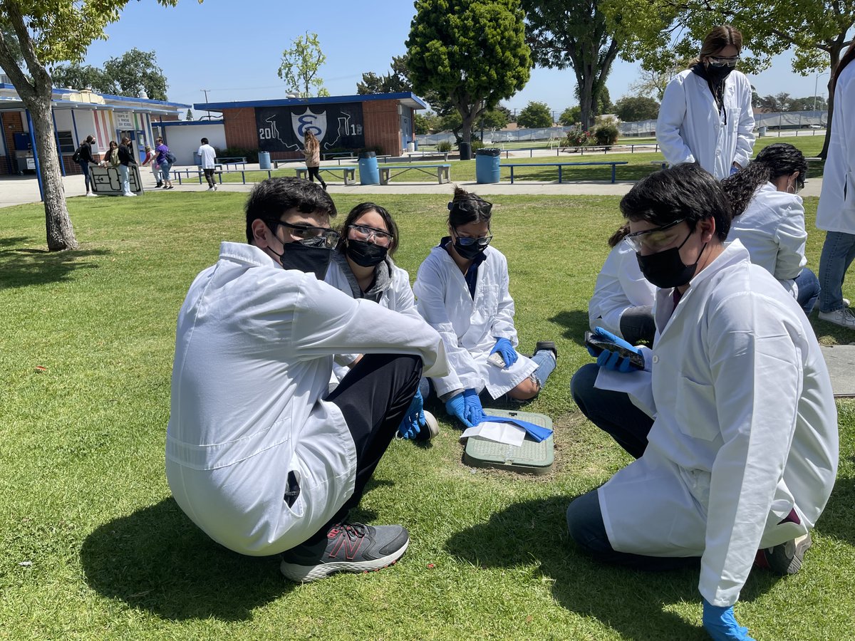 ErhsPltw's tweet photo. PLTW Biomed 11th graders Diego, Nicholas, Jerilee, and Melanie designed an investigation to determine if nylon or cotton has a protective effect against UV exposure. @ElRanchoHS https://t.co/f44Lqk9MGV