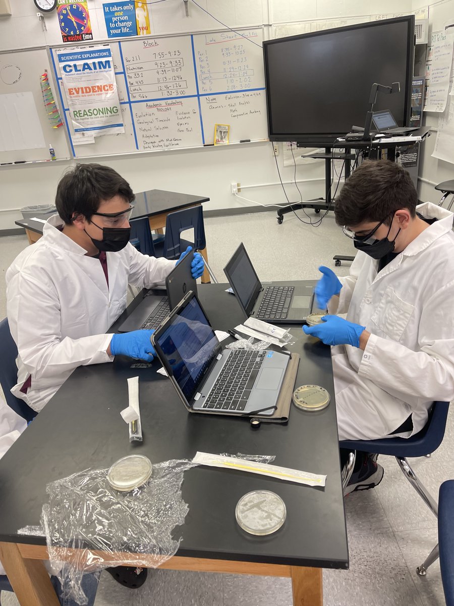 ErhsPltw's tweet photo. PLTW Biomed 11th graders Diego, Nicholas, Jerilee, and Melanie designed an investigation to determine if nylon or cotton has a protective effect against UV exposure. @ElRanchoHS https://t.co/f44Lqk9MGV