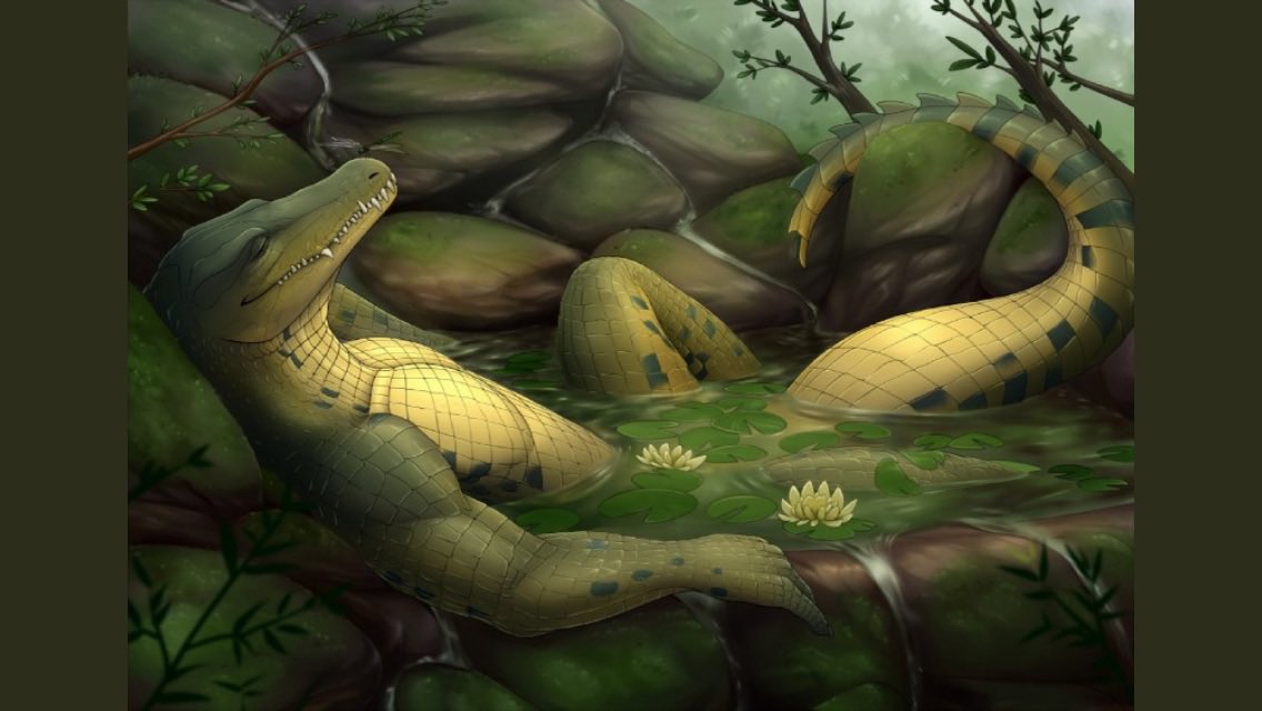 “All are welcome in the Citadel, countless pleasures await you~”

✨RP Account (N)SFW

✨Multiverse

✨Bisexual

✨Hundreds of Characters

✨10+ years RP Experience

✨Detailed Only

✨DMs Open

✨Patron Tiers with Perks

✨❤️+🔁 = Happy Host~

“See you soon, my dears~”