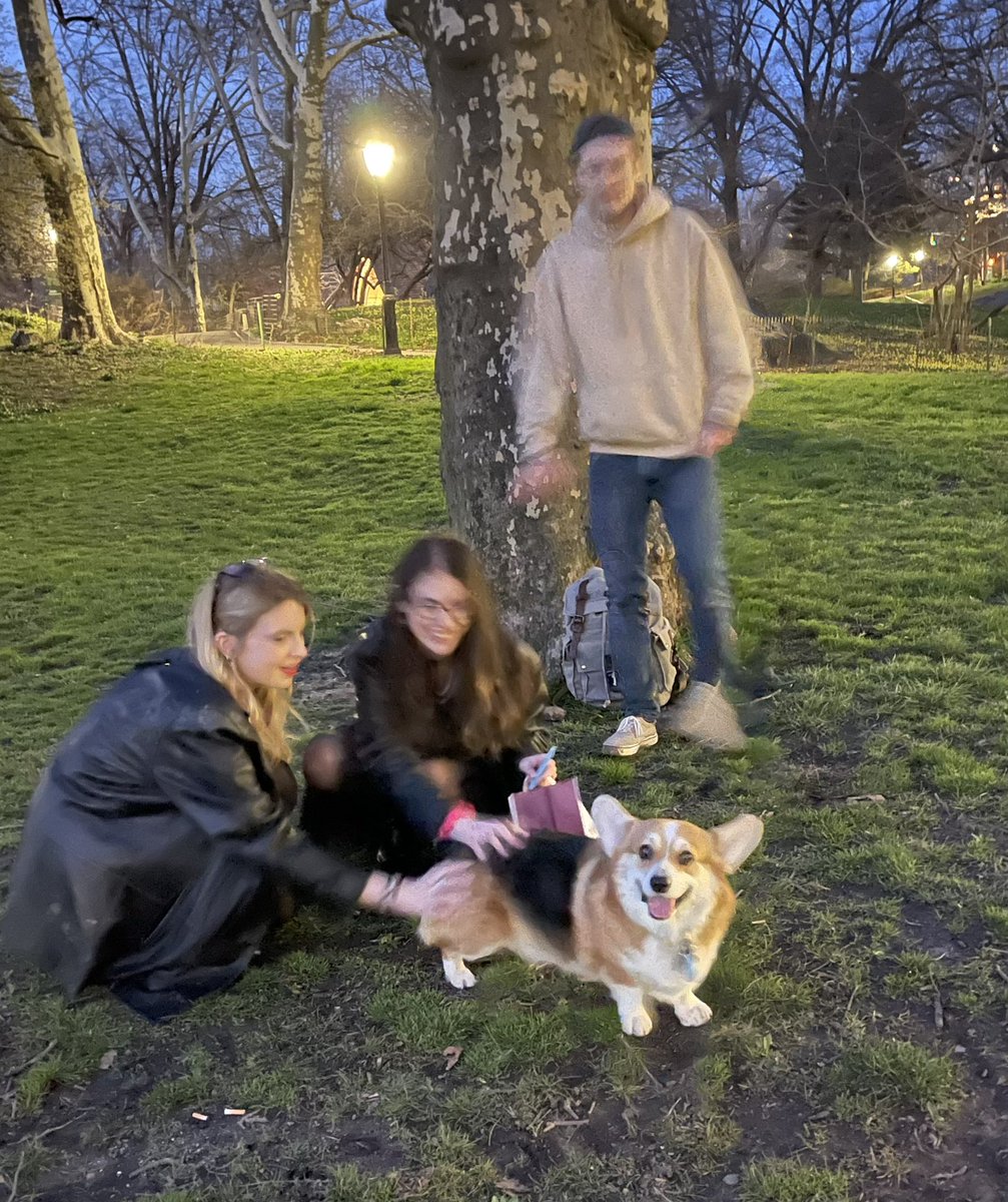 Everyone is loving on me in Central Park at night! #CentralPark #NYC #corgi #dogs #dogsoftwitter #CorgiCrew #corgitwitter #twitterdogcommunity #photooftheday #dogsarelove