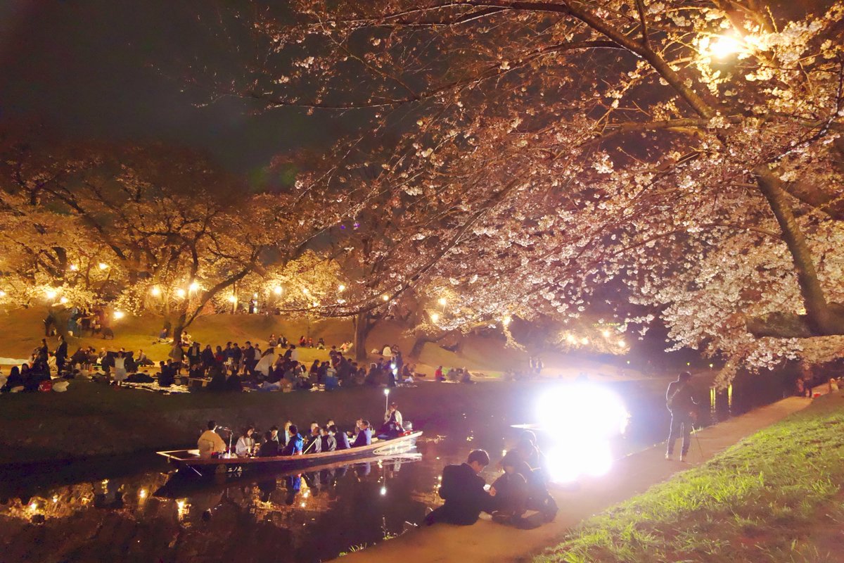 1N0kL's tweet photo. おはようございます

髪の毛は 生えてるとき
綺麗やけど 落ちてるとき
めちゃ汚い

あ、桜の季節ですね
かなり前に撮りましたが
愛知県にある 岡崎です https://t.co/IVcAE0sU3a
