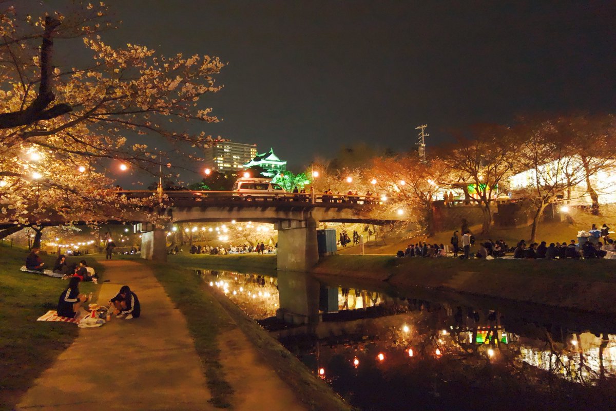 1N0kL's tweet photo. おはようございます

髪の毛は 生えてるとき
綺麗やけど 落ちてるとき
めちゃ汚い

あ、桜の季節ですね
かなり前に撮りましたが
愛知県にある 岡崎です https://t.co/IVcAE0sU3a