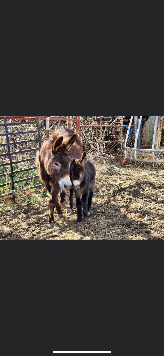 There’s a new ass in town!!