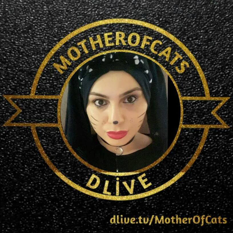 asiyecats's tweet photo. #YeniProfilResmi https://t.co/SgbbHdlt8K