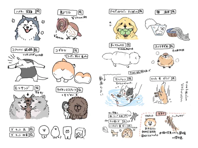 どうぶつ癒やし検索ワード
#自分が何度も投稿してしまう画像 