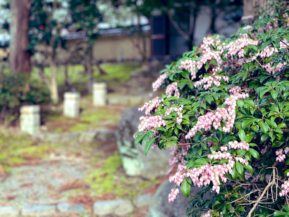 おはようございます♪♪☀️ 今日も良い１日を過ごしましょう😃 よろしくお願いします🎵