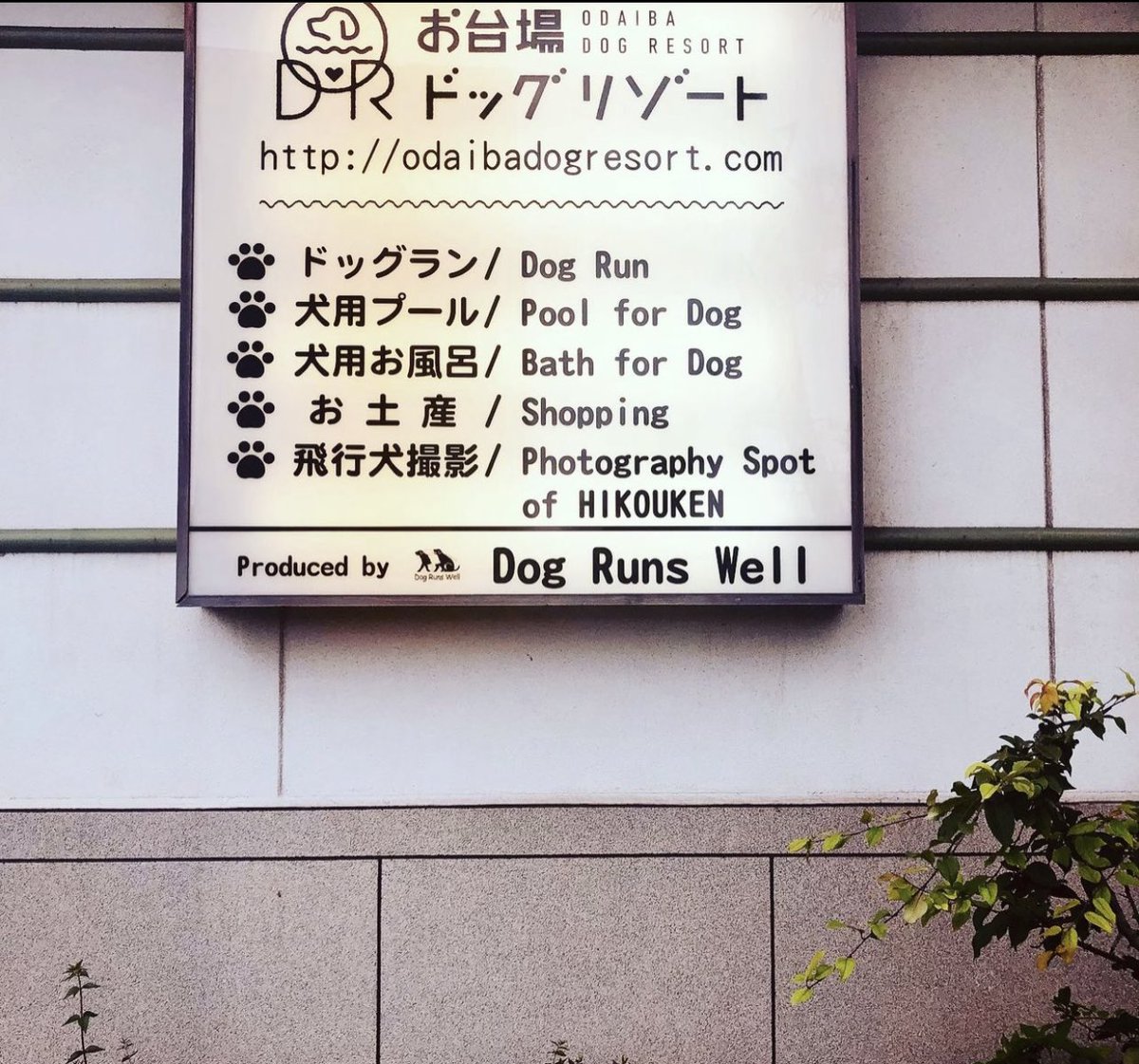 Хүний нутгийн нохойноос дээр амьдарчих юмсан даа..