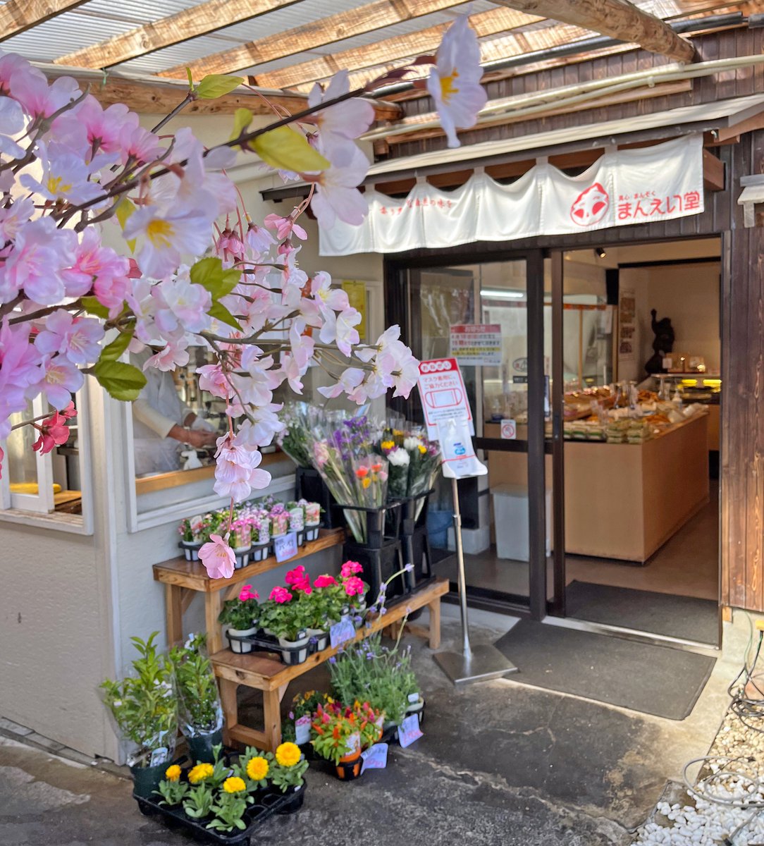 maneidou's tweet photo. おはようございます😊
まんえい堂 神埼宿場茶屋店本日も元気に営業しております。
また、本日は数量限定で1,050円のお弁当も販売しております！なくなり次第終了となります🙇‍♀️

⭐️明日（4/10）は、営業時間が15時までとなっておりますので、お早めのご来店をお待ちしております。 https://t.co/BBcmOTBs69