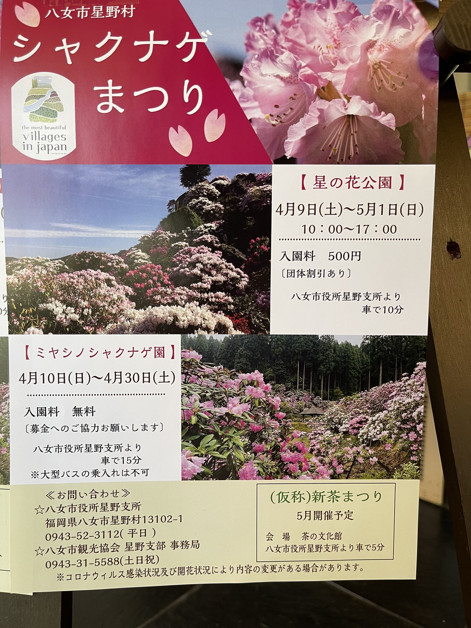 茶の文化館 八女市星野村 本日より星の花公園が開園します お越しの際は是非茶の文化館 星の文化館にもお立ち寄りください T Co Gl05ws73pv Twitter