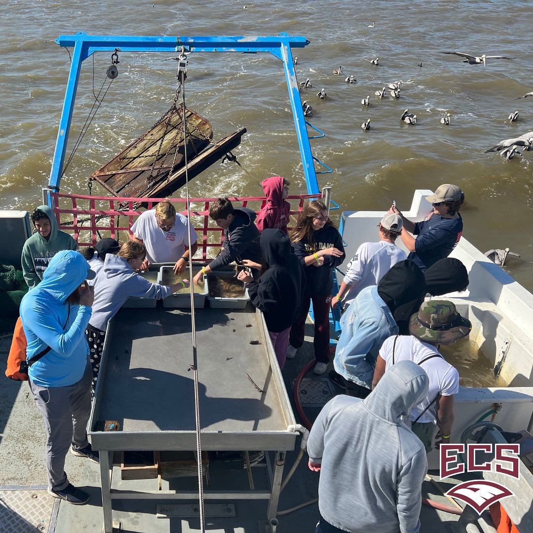 ecs_eagles's tweet photo. Ninth grade students returned from a memorable trip to Dauphin Island, Alabama where they enjoyed hands-on learning about marine biology in the Gulf of Mexico. Students studied local marine life and learned more about estuaries and the Mobile Bay watershed. #ECSSTEM #ECSeagles https://t.co/dEfQHwDMjm