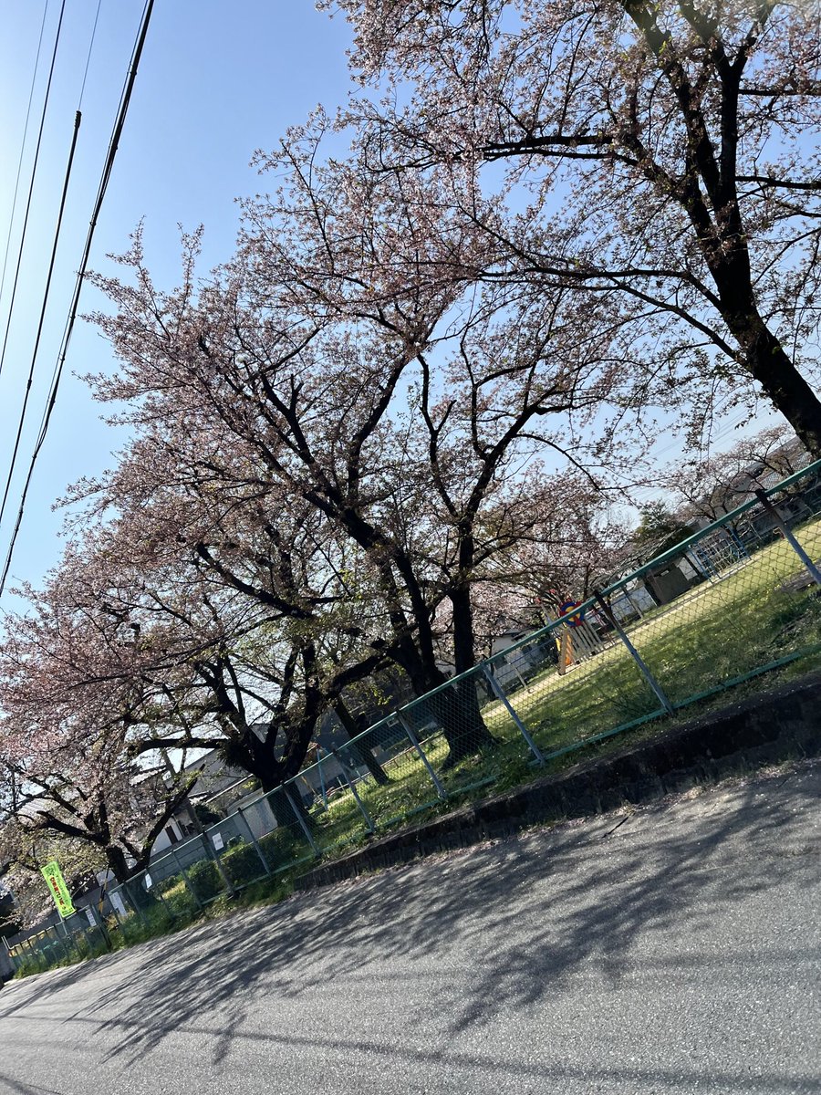 Opt_Fuji's tweet photo. おは富士🗻
店の裏の公園の桜の花びらが大分散ってしまって葉桜の状態になっちゃってました😅
桜のシーズンってめちゃくちゃ短いですけどあの儚さがいいんですよね〜😉
今日のサングラスは #OAKLEY #RADAREV です🕶
これ昨日開幕したMLBの #大谷翔平 選手モデルです⚾
限定モデルですのでお早めに〜🤗 https://t.co/y85HSuIbFp