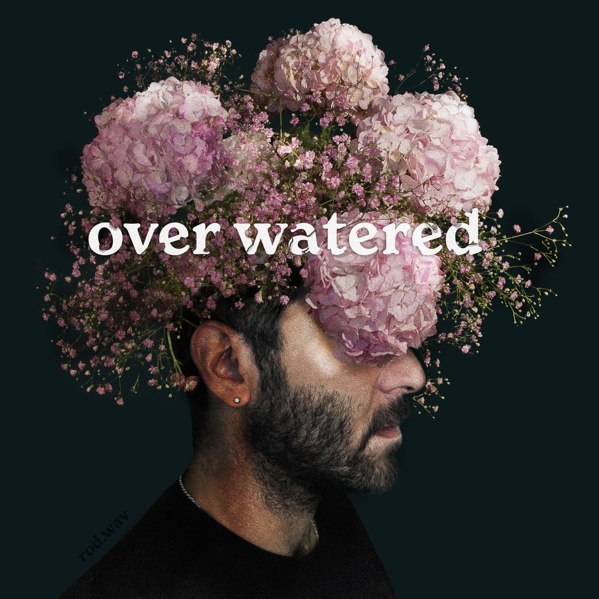 Foreign_Thunder's tweet photo. Very hyped to finally be putting some music on streaming services that people actually use. Click the link to pre-save my first release on Spotify :) https://t.co/anuC4UZeeT https://t.co/KbxISCGvYX