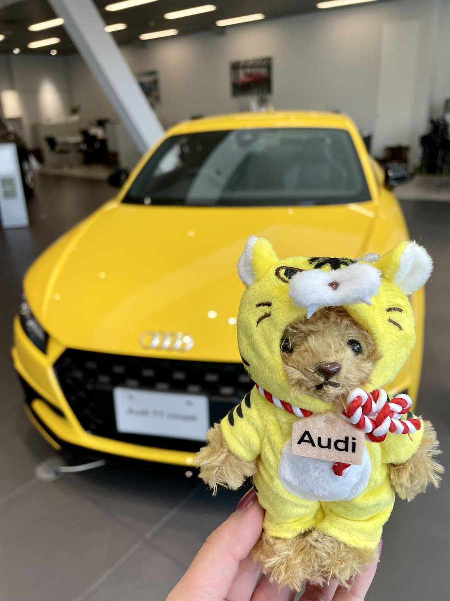 audi 大阪 中央