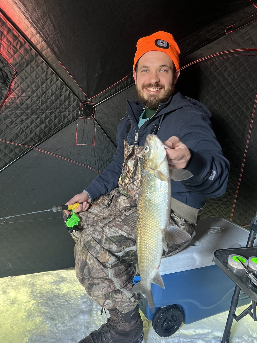 mike_conard's tweet photo. @Jennifer_360_ Green Bay whitefish https://t.co/u6BE7spUEw