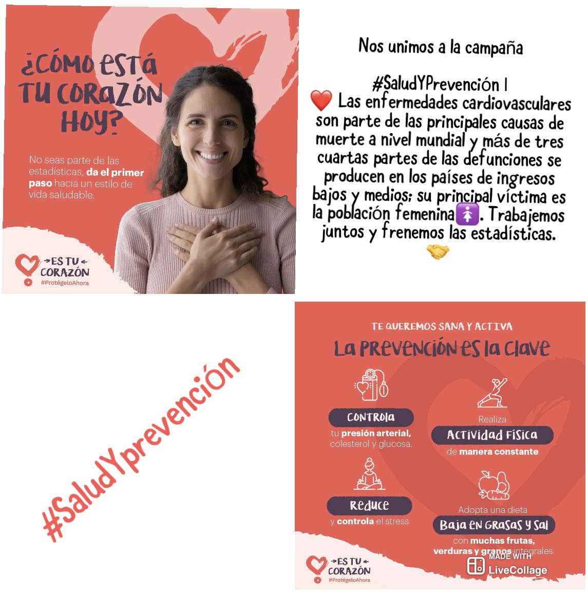 paomorejon's tweet photo. #SaludYPrevención

❤️ Las enfermedades cardiovasculares son parte de las principales causas de muerte a nivel mundial 🌎y más de tres cuartas partes de las defunciones se producen en los países de ingresos bajos y medios; su principal víctima es la población femenina 🚺
Se unen? https://t.co/uMtQoyfmSp
