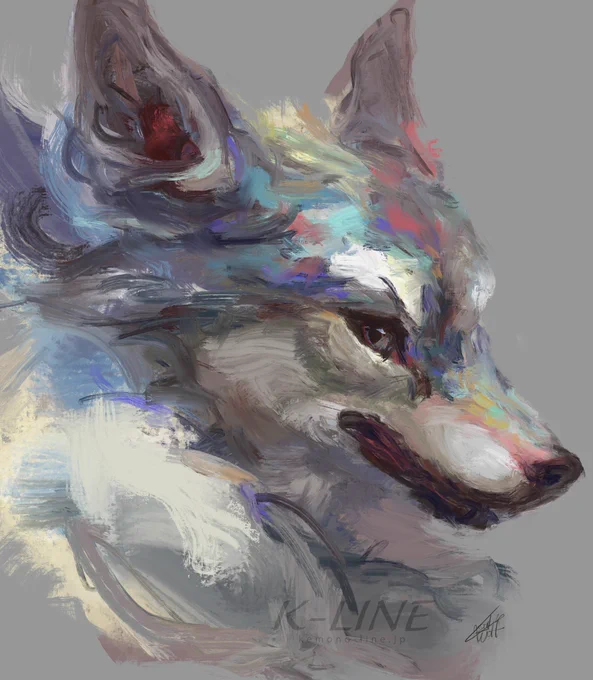 If I had been born a wolf, this is what I would look like. 。。。 