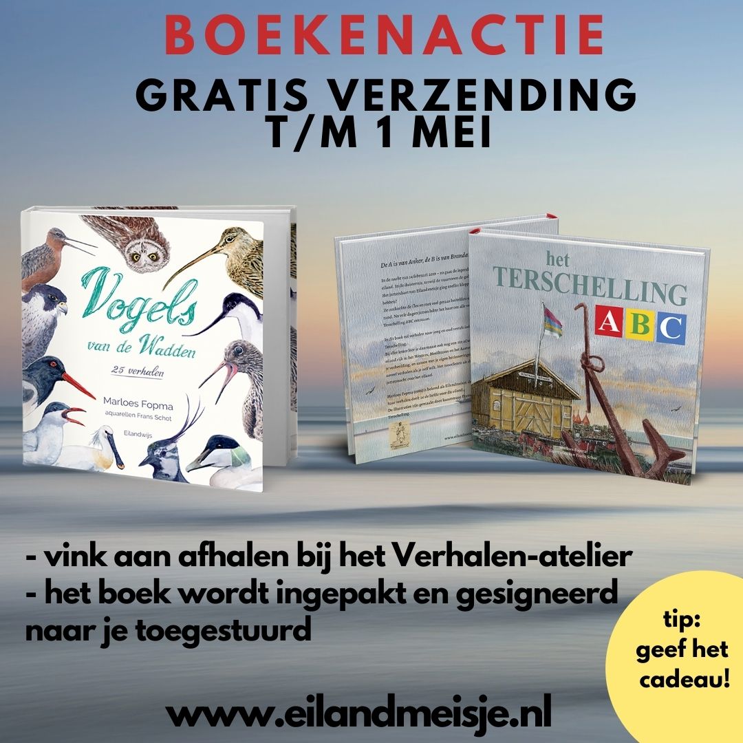 Lees hier het verhaal van de steenloper. #vogels #terschelling #wadden #eilandmeisje #boekenactie #vogelweek #vogelboek #vogelskijken #wad Aangespoeld: verhalen van Eilandmeisje, april 2022 - mailchi.mp/67d6f06b0575/a…