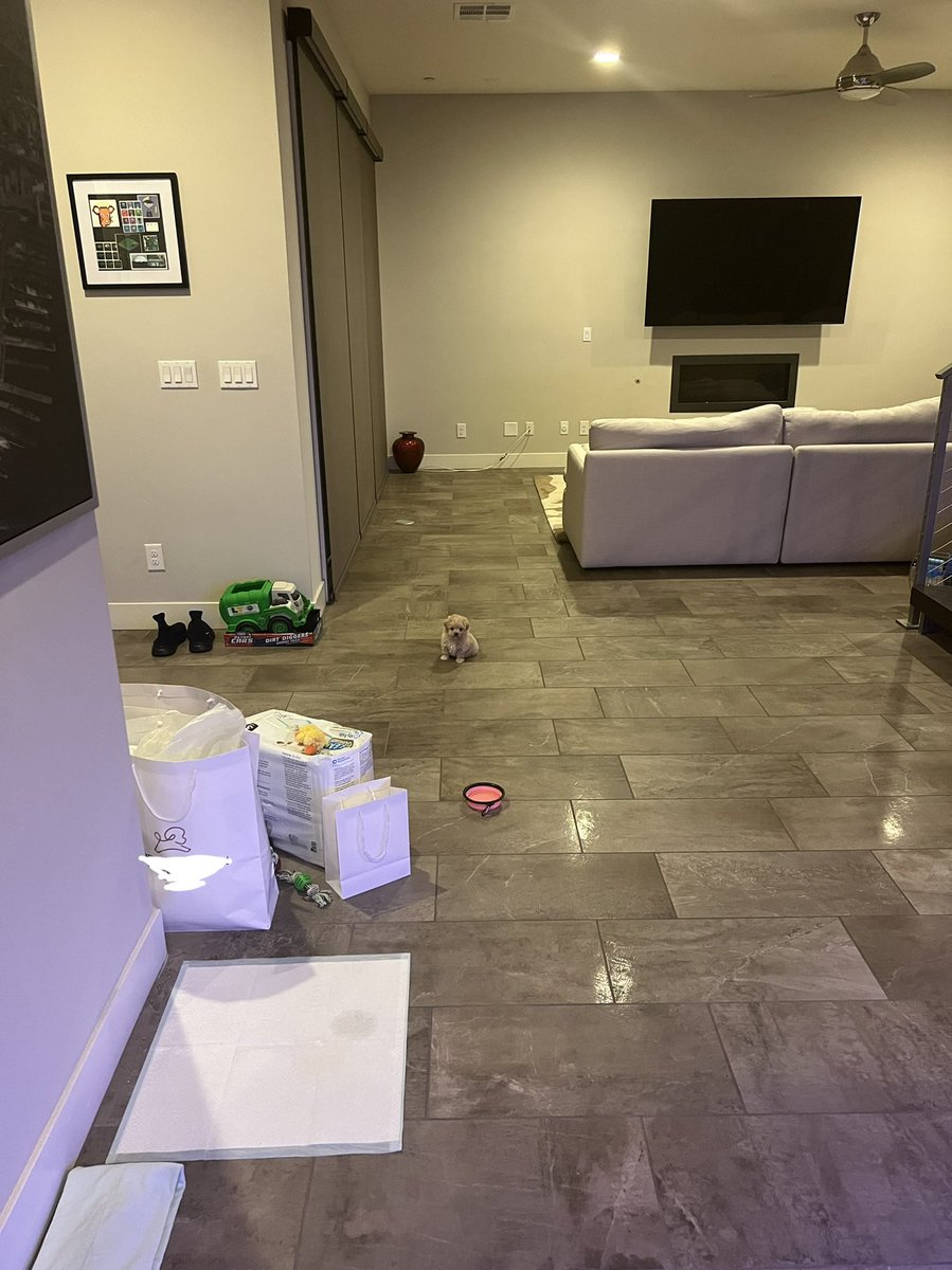 This is my puppy Brian. I bought him with $eth. Might have to zoom in