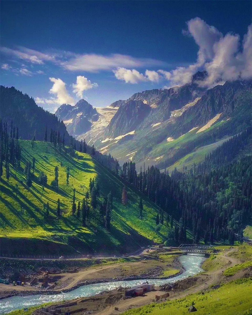 Erik Solheim tweet media