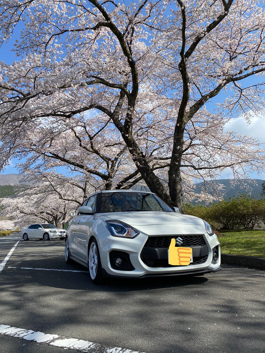 zc33KG's tweet photo. 富士霊園！
桜が満開です！
写真スキル身に付けたい笑
#富士霊園 https://t.co/vwzUXkWEyW
