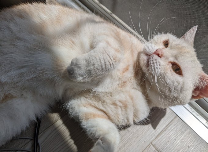 浴びるぜサンシャイン 