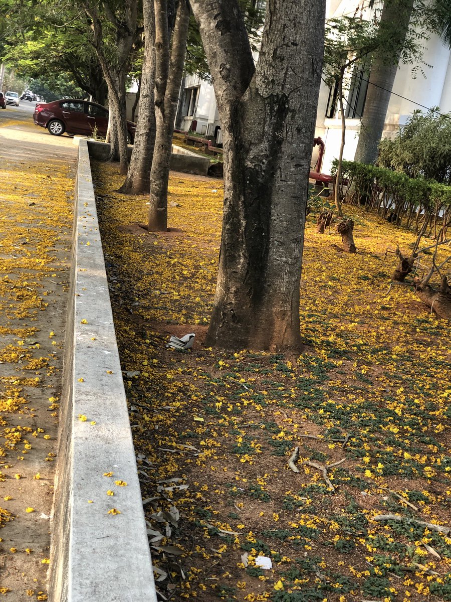 vrundavs's tweet photo. A path ….&
#copperpods
#springtimestories https://t.co/cGT7DdbcZA
