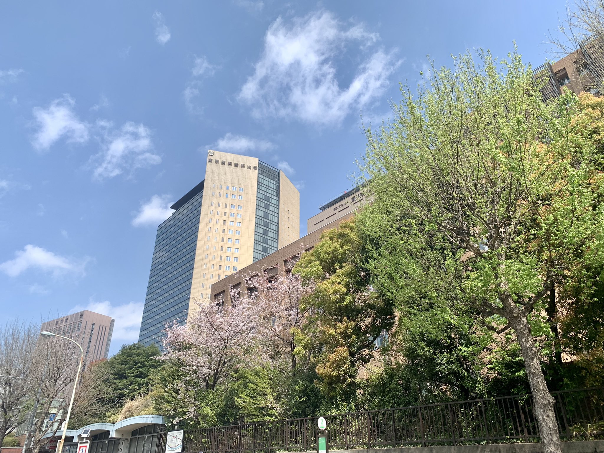 تويتر Mw岩井 على تويتر 今日の東京医科歯科大学歯学部附属病院 お茶の水駅前 は晴れ 桜は散って葉桜になりました 気温はもう21度 昼間は上着が不要ですね T Co Dgw0g8sebu