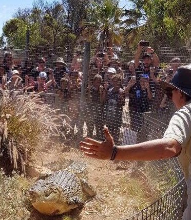 4allwildlife's tweet photo. Getting ready for the school holidays croc shows ..🐊🐊🐊today at 12pm ..
Come say Gday & learn more about these amazing apex predators that are absolutely my favourite 💚#crocodilekeeper #crocsrule https://t.co/5eNPgpQnlq
