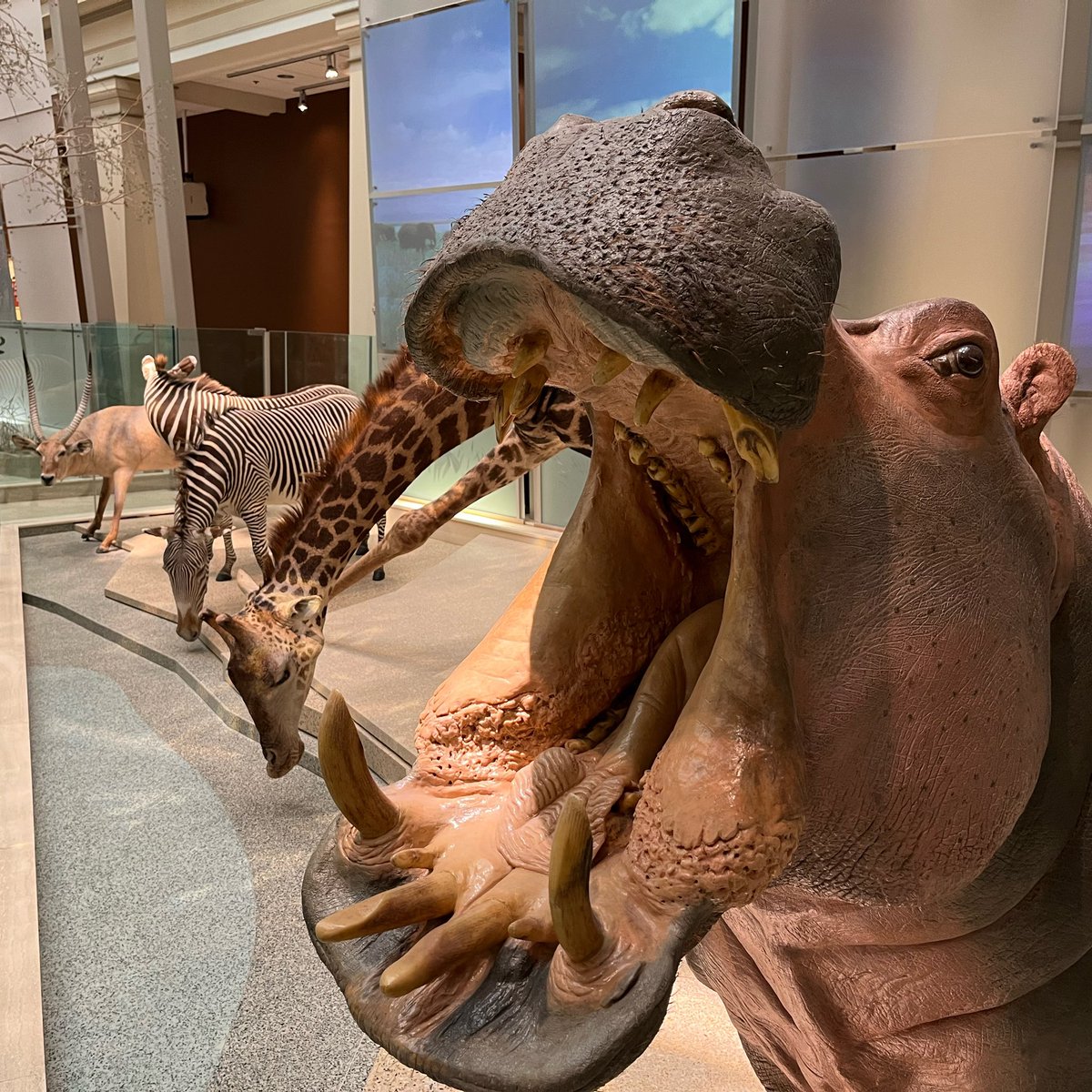 Had a great day with <a href="/JasperLearning/">Jasper Learning Initiative</a> in Washington DC with our 10th graders. Beautiful weather, experienced some special memorials, and time to explore several museums. Definitely making this an annual trip.