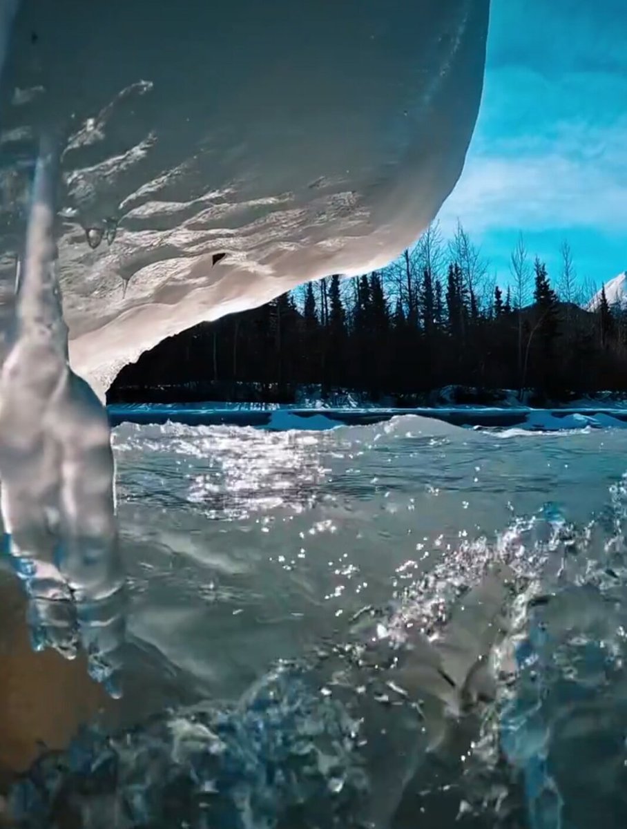 priya_amor's tweet image. கடல் பெரிது தான் ஆனால் மகிழ்ச்சியை தருவதென்னவோ சிறு சிறு அலைகள் தான்.

எனவே‌ காணுவதைக் காட்டிலும் கிடைப்பதைக்‌ கொண்டு மகிழ்சியாக இருப்பது அவசியமில்லா பல ஏமாற்றங்களுக்கு முற்றுப்புள்ளி வைக்கும்.

#SatisfyingIsMatter #Satisfication #SpreadLove