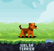 PixelDogs tweet media