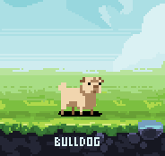 PixelDogs tweet media