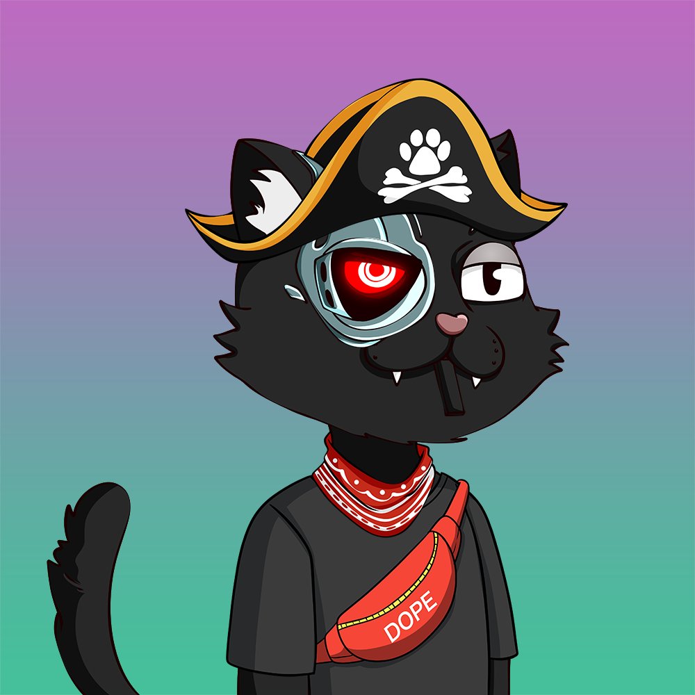 Jarronxo's tweet photo. Just saying...I hear @Dope_Cats are going to be able to be staked tomorrow.... 👀👀👀👀👀 https://t.co/9VgGV1kMhg