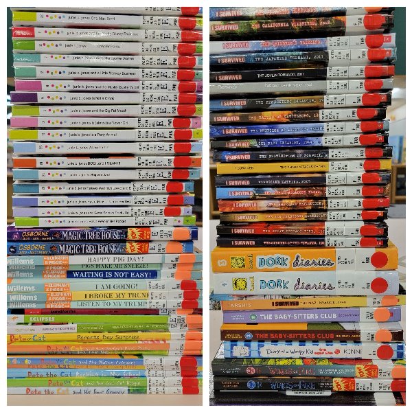 More books ready for check-out at DeBary. Keep reading Eagles!