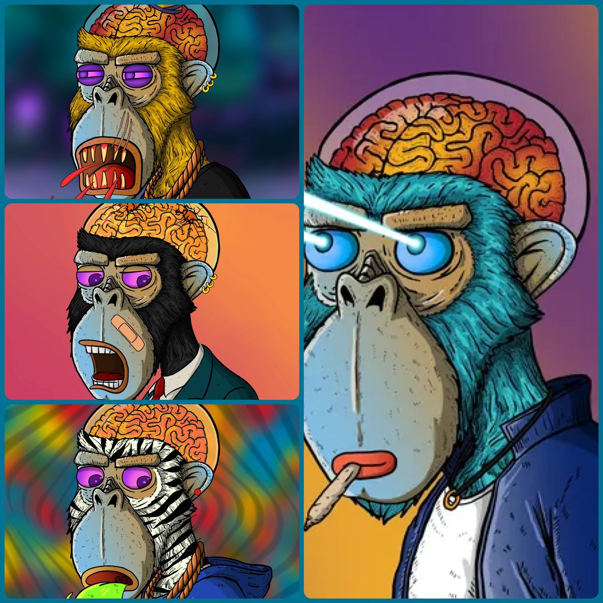 ThaRealQuaid's tweet photo. #bdmnft #braindeadmonkey #braindeadmonkeys #cro #nft https://t.co/MH5yflJLaz