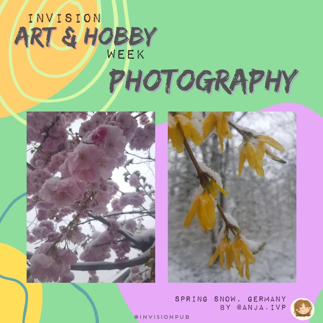 InVisionPub's tweet photo. "InVision Art &amp; Hobby Week"
Category: Photography 
Art piece title: Spring Snow
Art piece by: @/anja.ivp

#InVision #InVisionPublishing #ArtAndHobbyWeek #art #hobby #artwork #artofinstagram #photography #Germany #Snow #SnowPhotography #SnowFlowers #FlowersUnderSnow #SpringSnow https://t.co/FHxNBHD5Os