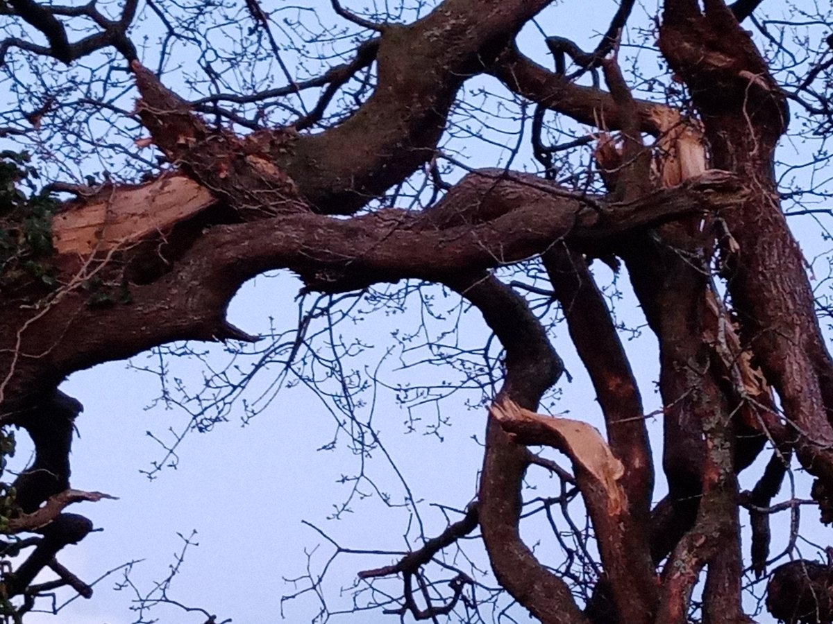 Yesterday's stormey weather
Pembrokeshire west Wales UK