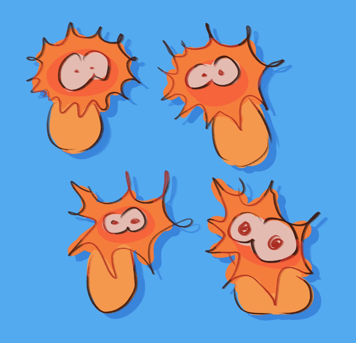 ted 🐟 tweet media