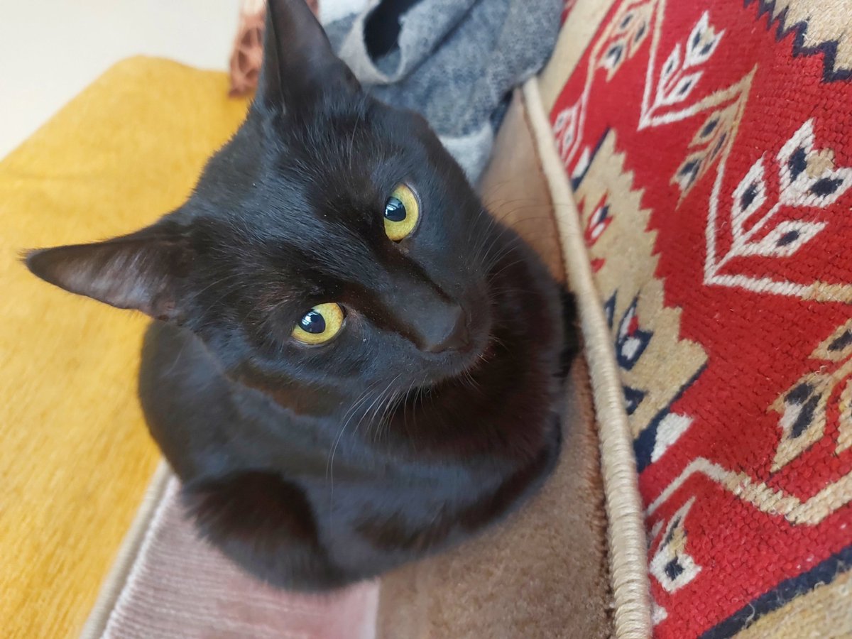 Günaydın Hayırlı Sabahlar 🇹🇷
Huzurlu Keyifli Bir Gün Diliyorum Herşey Gönlünüzce Olsun..