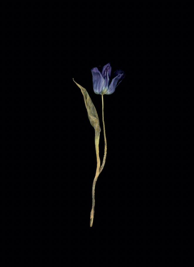Dicklebuttsnft's tweet photo. We have so many incredible photographers in our cummunity we're starting a photographer highlight

First up @aaronrferguson @megbatphoto and @Sadowskaphoto 

Dickles show us your photography! 📸 https://t.co/RqSIbHBa3T