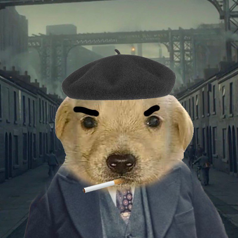 Who wants a free mint on Friday night?? Check out <a href="/DegenDoggos_NFT/">Degen Doggos - MINTING NOW!</a> 

First 333 free, then 0.022 each. 
A portion of the profits will go to dog shelters 💕