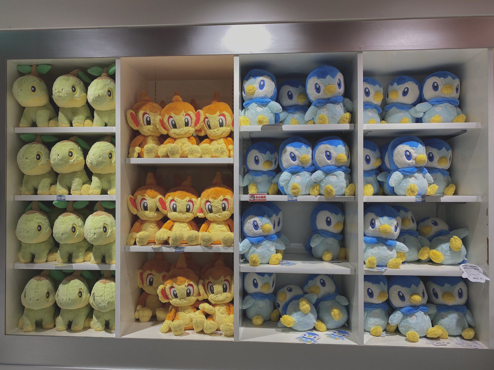 公式の店舗 ポケモンセンター ふわふわ抱きぬいぐるみ ヨーギラス fawe.org
