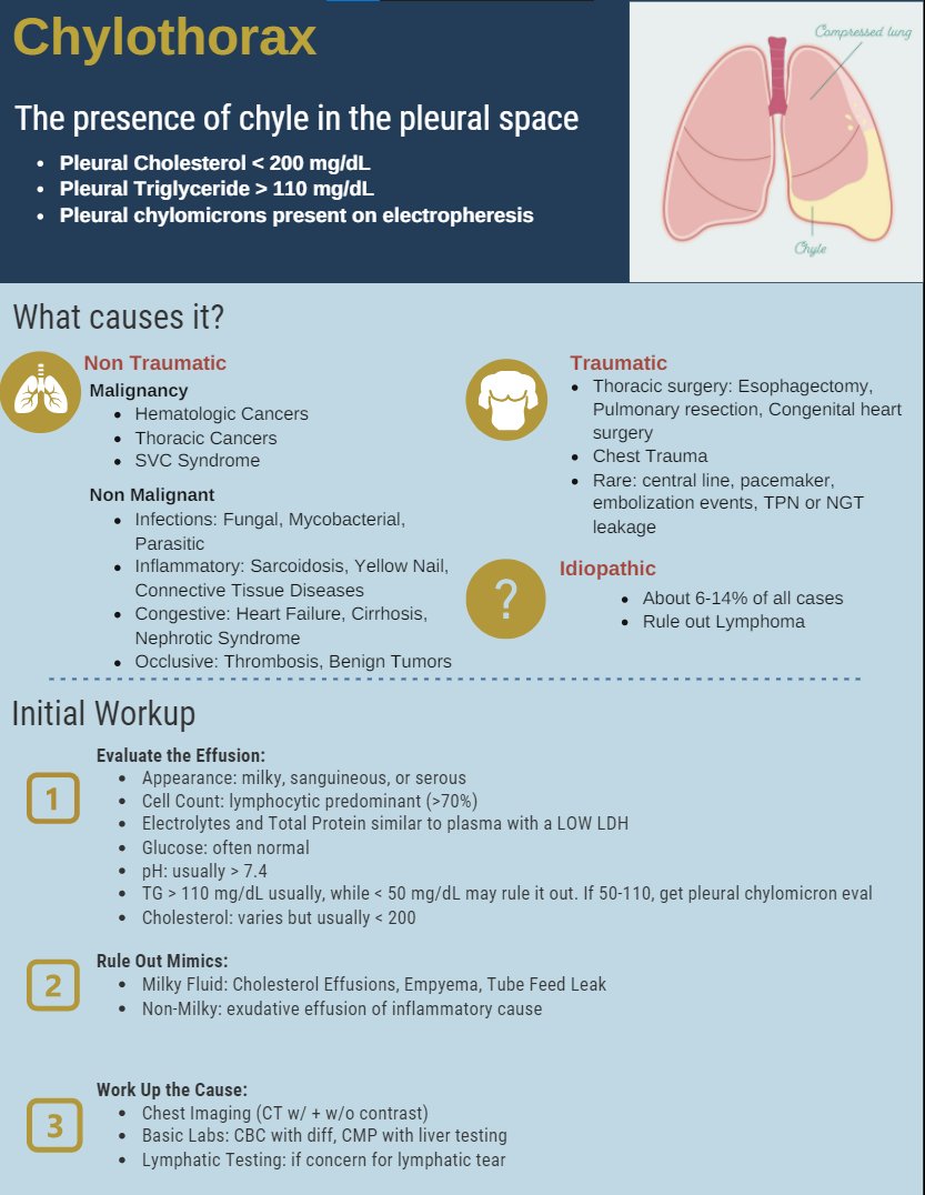 A patient in the <a href="/BIDMC_HOFellows/">BIDMC Hematology/Oncology Fellowship</a>  <a href="/BIDMC_IM/">BIDMC IM Residency</a>  ICU  and others currently has a chylothorax, and I realized I had a pretty nonexistent approach- working on this schema here, and would love thoughts- management graphic pending as well! 
#medtwitter #chylothorax #pleuraleffusion