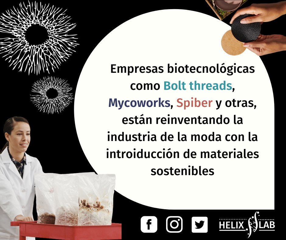 HelixEc's tweet photo. ¿𝐒𝐚𝐛𝐢́𝐚𝐬 𝐪𝐮𝐞́? Se ha creado un nuevo cuero ecológico y vegano derivado de hongos 😱

🧐🧐¡Esto no es lo único interesante que se puede hacer con microorganismos! También puedes pintar con ellos en nuestro concurso de Agar Art 👨‍🔬 https://t.co/w74NxLIqyo
