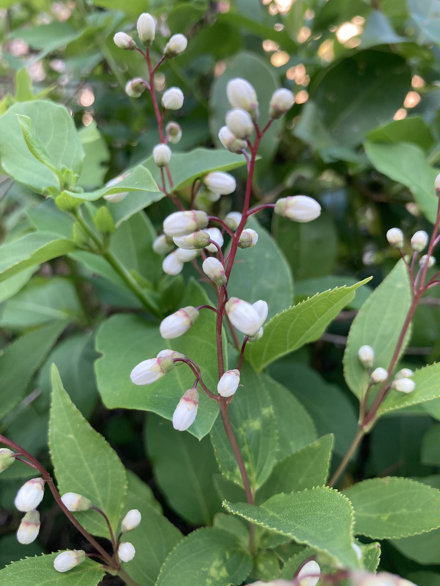 養生大学 グランブルー栗原佳代 Kurihara0512 Twitter